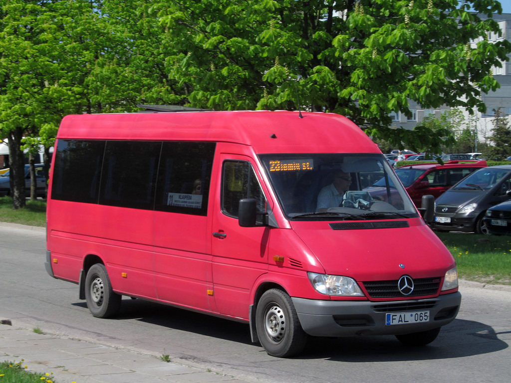 Литва, Mercedes-Benz Sprinter W903 313CDI № 06