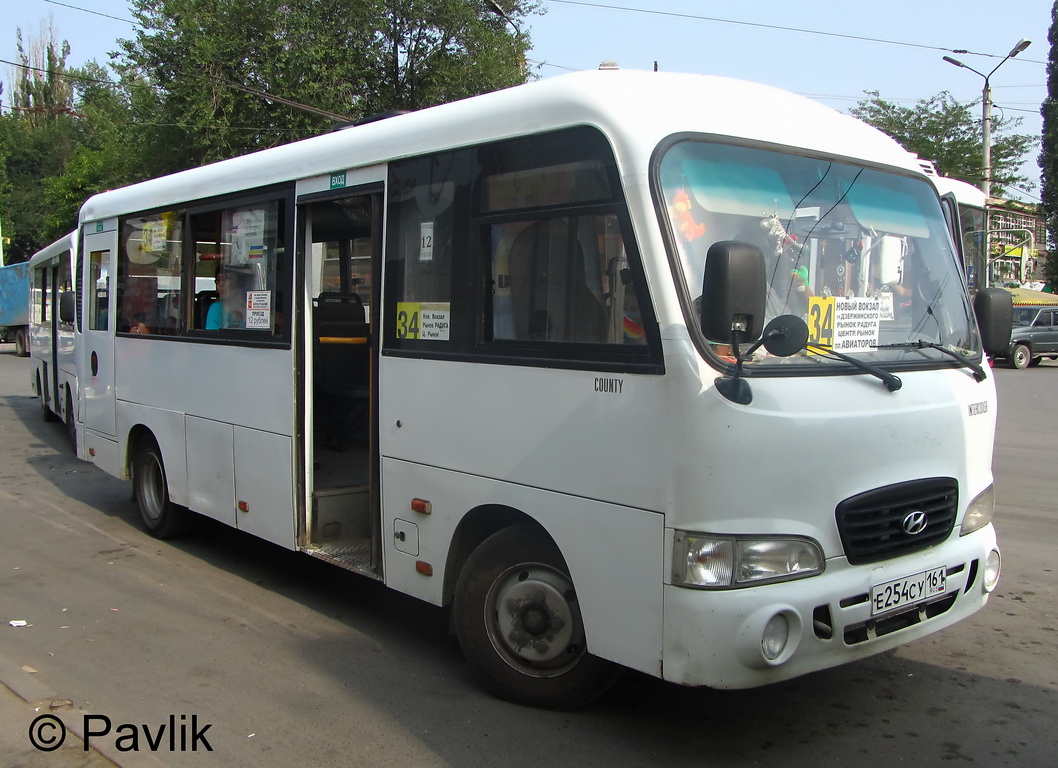 Ростовская область, Hyundai County LWB C09 (ТагАЗ) № 62