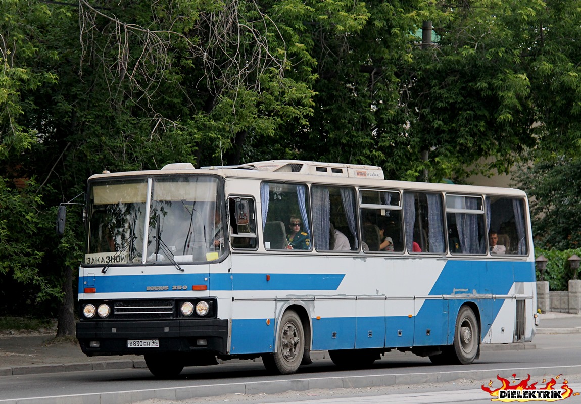 Свердловская область, Ikarus 250.95 № Х 830 ЕН 96