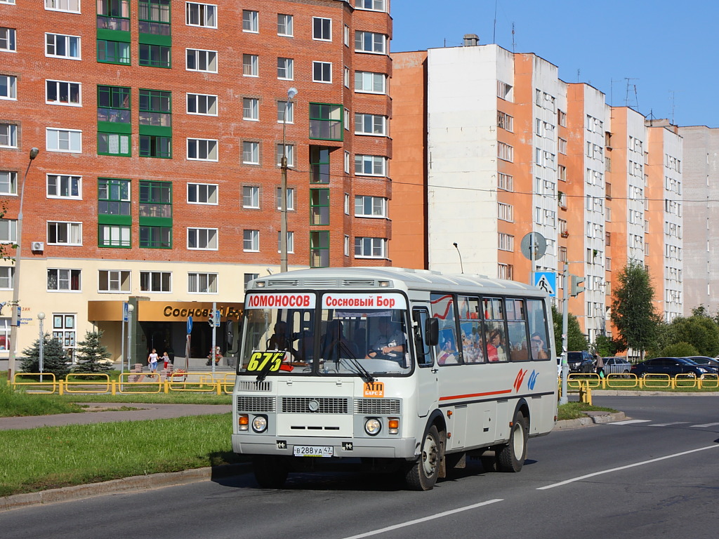 Ленинградская область, ПАЗ-4234-05 № В 288 УА 47