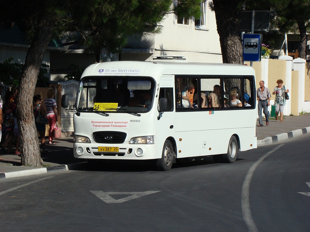 Краснодарский край, Hyundai County LWB C11 (ТагАЗ) № КХ 387 23