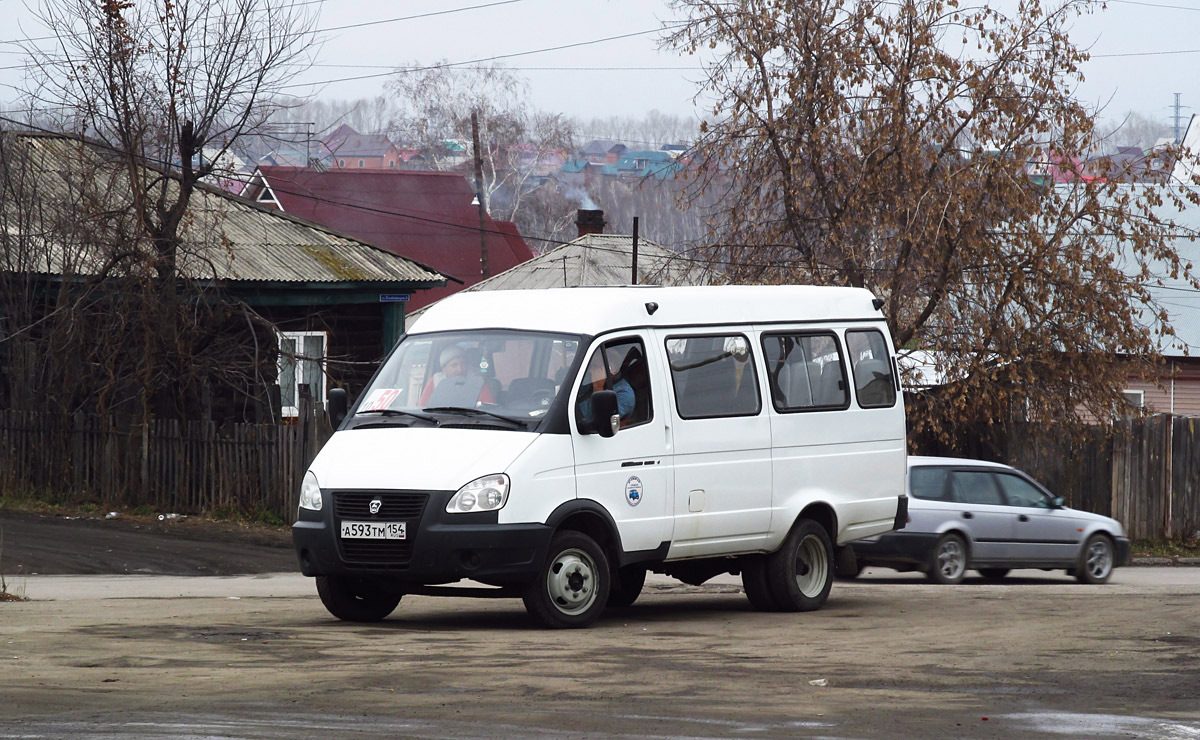 Novosibirsk region, GAZ-322132 (XTH, X96) Nr. А 593 ТМ 154