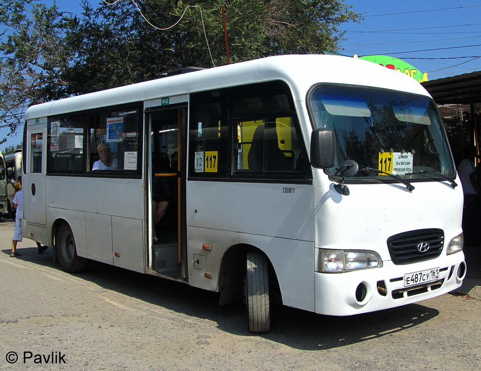 Ростовская область, Hyundai County LWB C09 (ТагАЗ) № 54