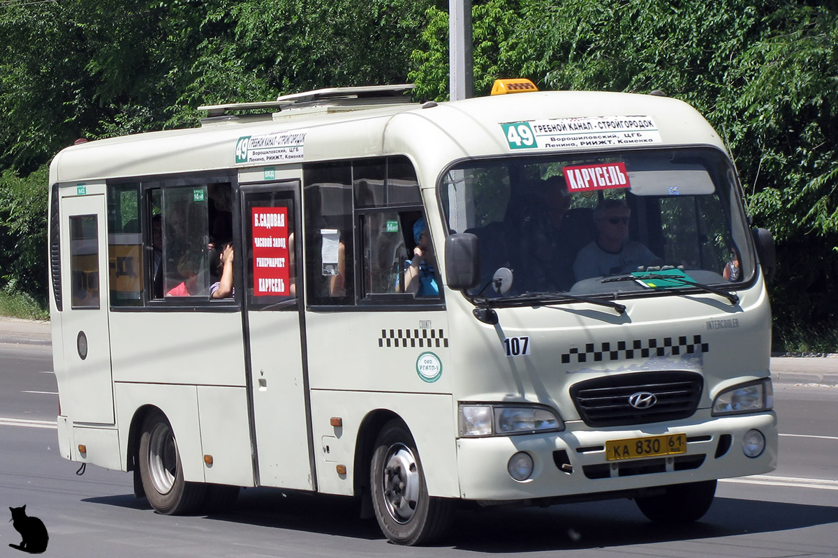 Ростовская область, Hyundai County SWB C08 (РЗГА) № 107