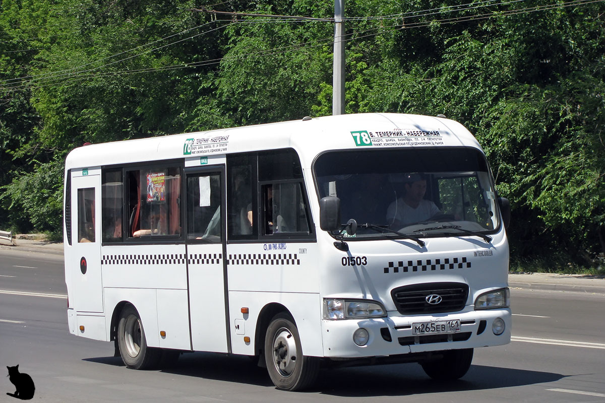 Ростовская область, Hyundai County SWB C08 (РЗГА) № 01503