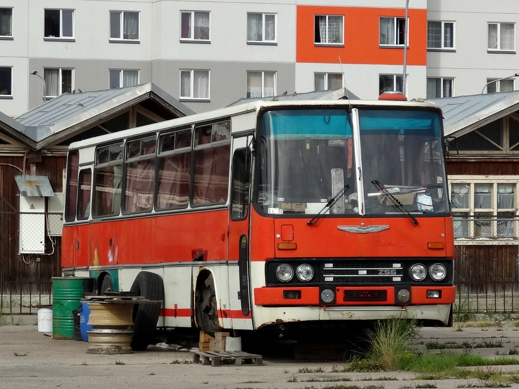 Латвия, Ikarus 256.51 № CU-8942; Латвия — Автобусы без номеров