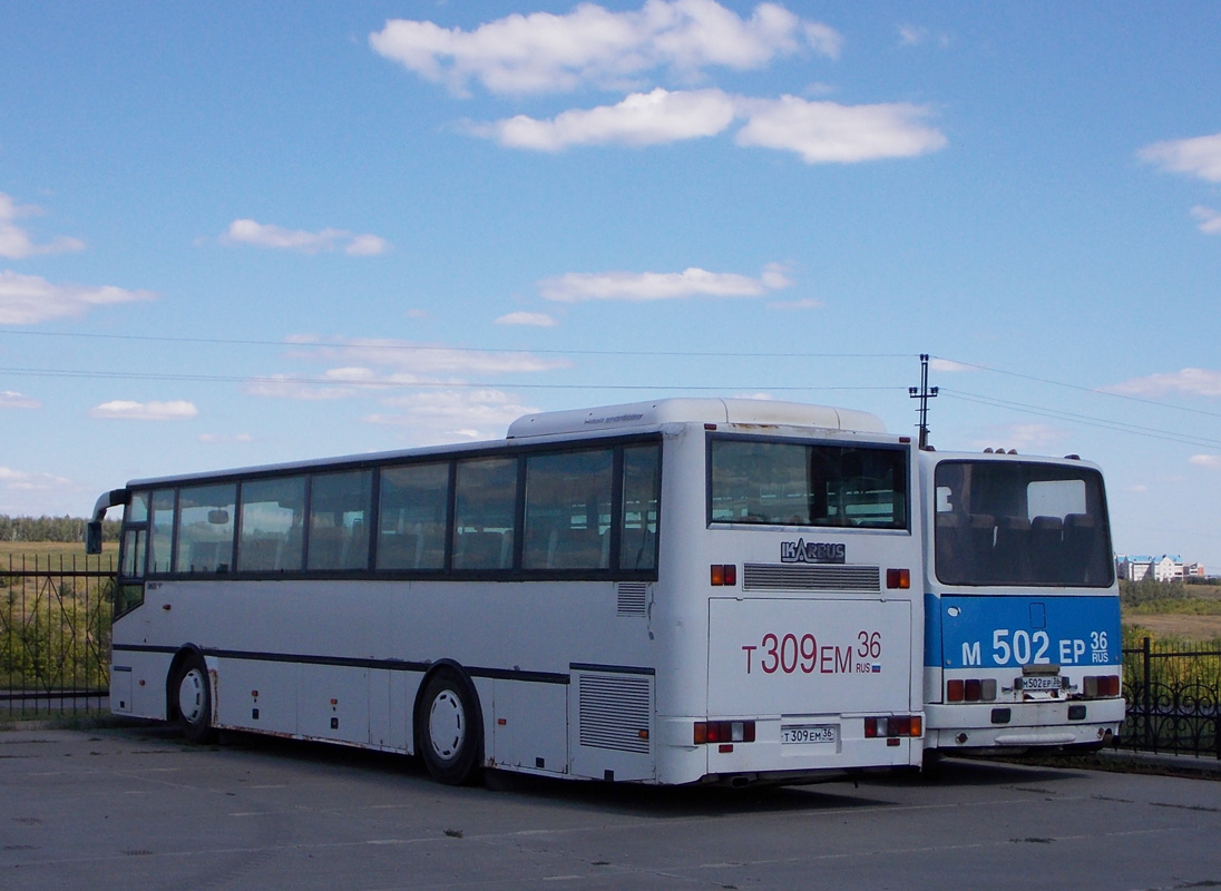 Воронежская область, Ikarbus IK-301 № Т 309 ЕМ 36