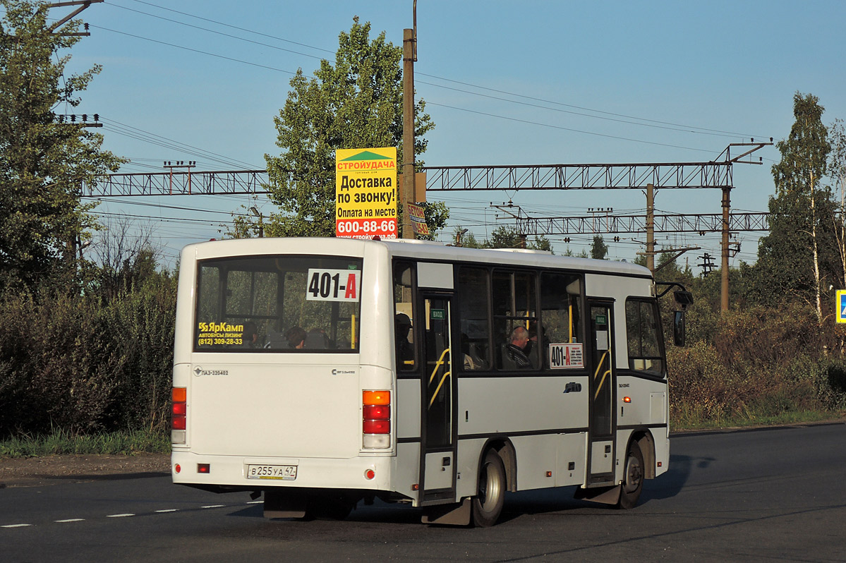 Ленинградская область, ПАЗ-320402-05 № В 255 УА 47