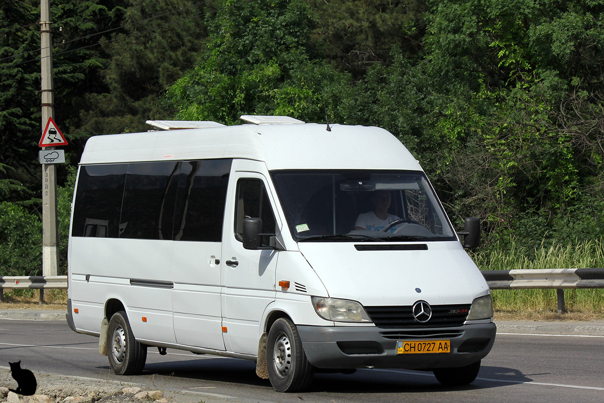 Республика Крым, Mercedes-Benz Sprinter W903 313CDI № CH 0727 AA