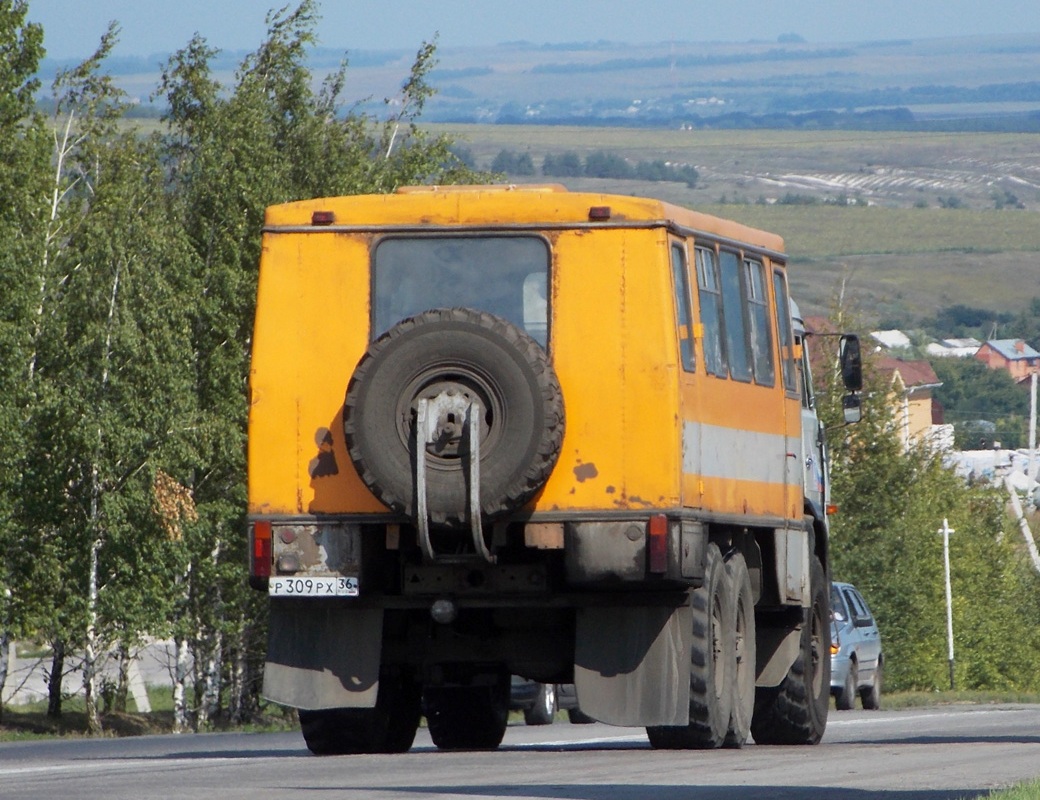 Воронежская область, НефАЗ-4208 № Р 309 РХ 36