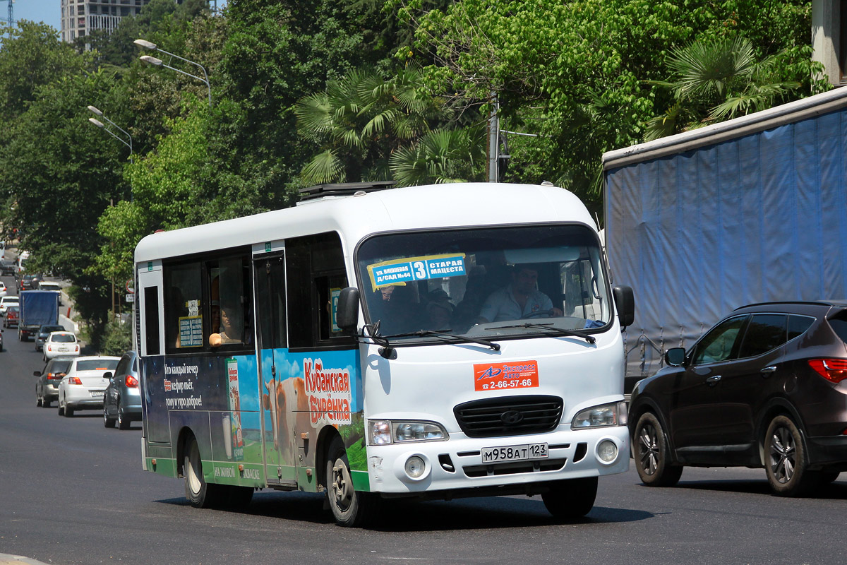 Краснодарский край, Hyundai County LWB C09 (ТагАЗ) № М 958 АТ 123