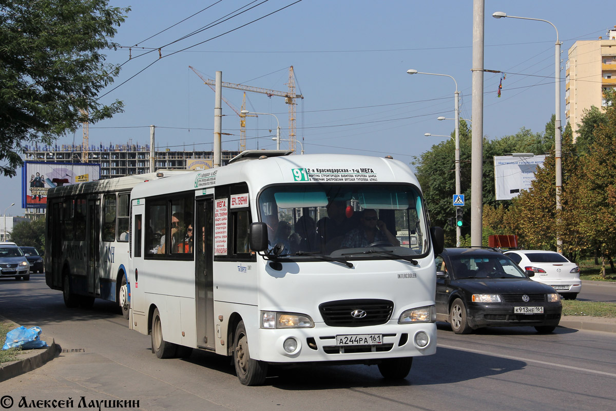 Ростовская область, Hyundai County LWB C09 (ТагАЗ) № А 244 РА 161