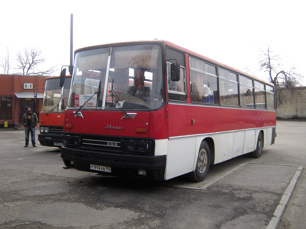 Краснодарский край, Ikarus 256 № Т 914 ХВ 93 — Фото — Автобусный транспорт