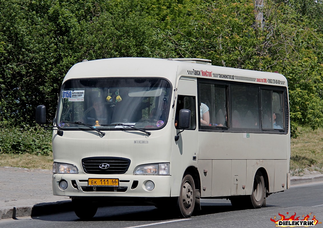 Свердловская область, Hyundai County SWB C08 (РЗГА) № ЕК 111 66