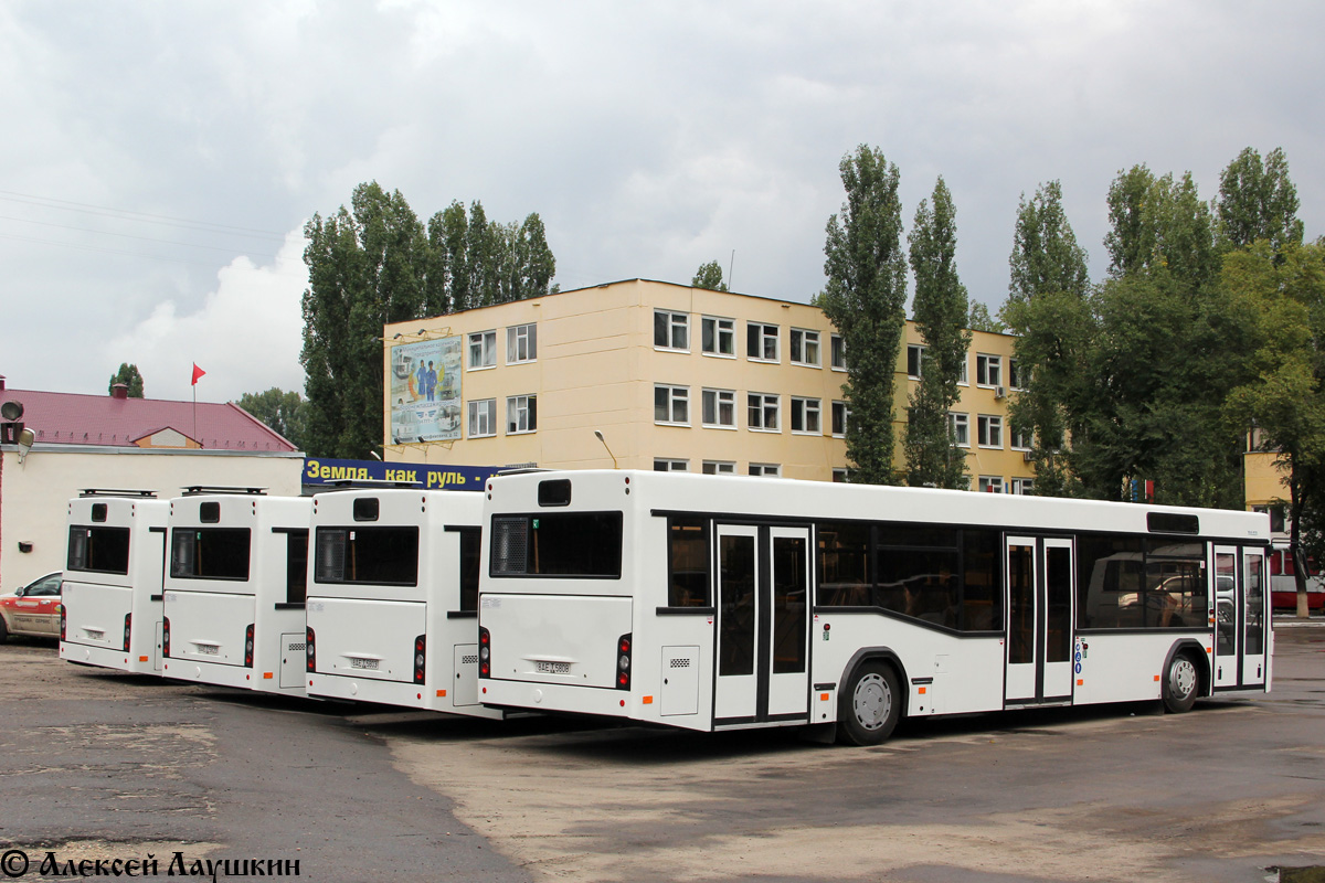 Voronezh region, MAZ-103.469 Nr. 8АЕ Т 5820; Voronezh region, MAZ-103.469 Nr. 8АЕ Т 5801; Voronezh region, MAZ-103.469 Nr. 8АЕ Т 5803; Voronezh region, MAZ-103.469 Nr. 8АЕ Т 5808; Voronezh region — New buses