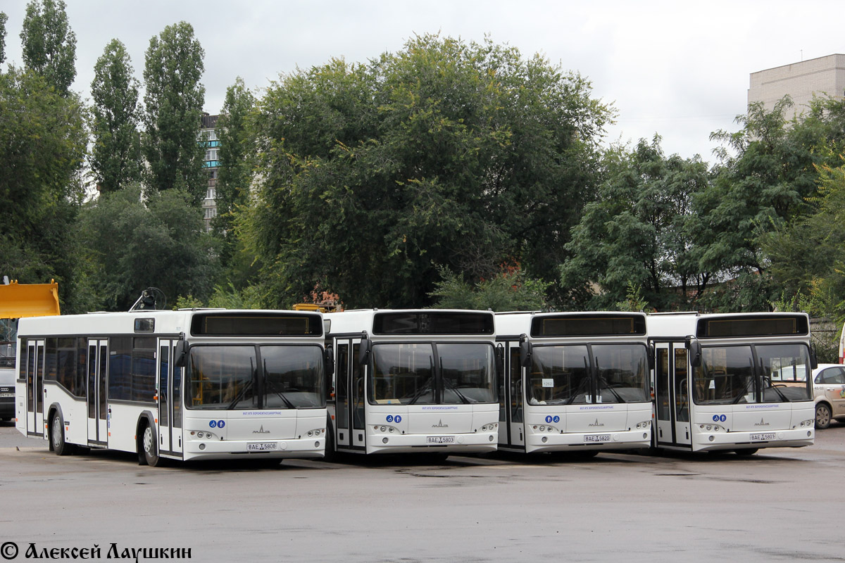 Voronezh region, MAZ-103.469 č. 8АЕ Т 5820; Voronezh region, MAZ-103.469 č. 8АЕ Т 5801; Voronezh region, MAZ-103.469 č. 8АЕ Т 5803; Voronezh region, MAZ-103.469 č. 8АЕ Т 5808; Voronezh region — New buses