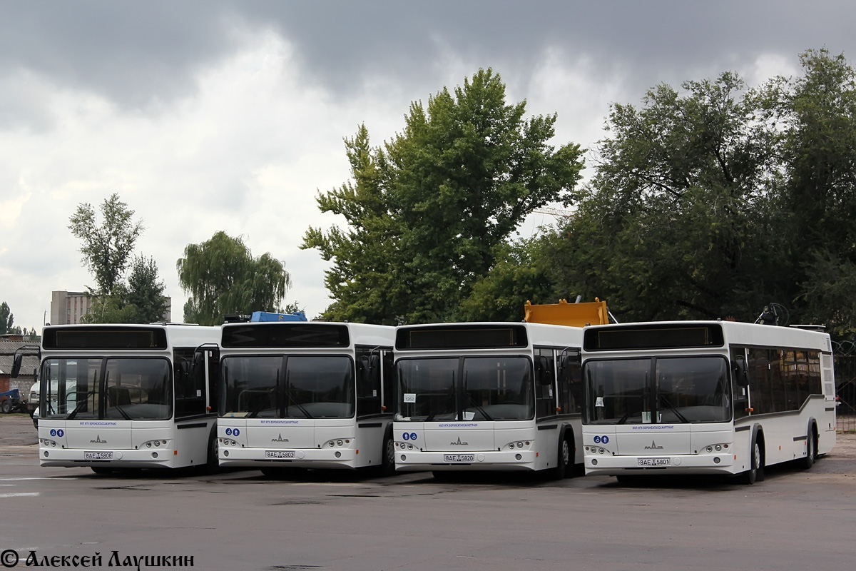 Voronezh region, MAZ-103.469 # 8АЕ Т 5820; Voronezh region, MAZ-103.469 # 8АЕ Т 5801; Voronezh region, MAZ-103.469 # 8АЕ Т 5803; Voronezh region, MAZ-103.469 # 8АЕ Т 5808; Voronezh region — New buses