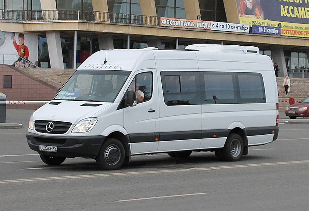 Курганская область, Луидор-223602 (MB Sprinter) № Е 623 КР 45