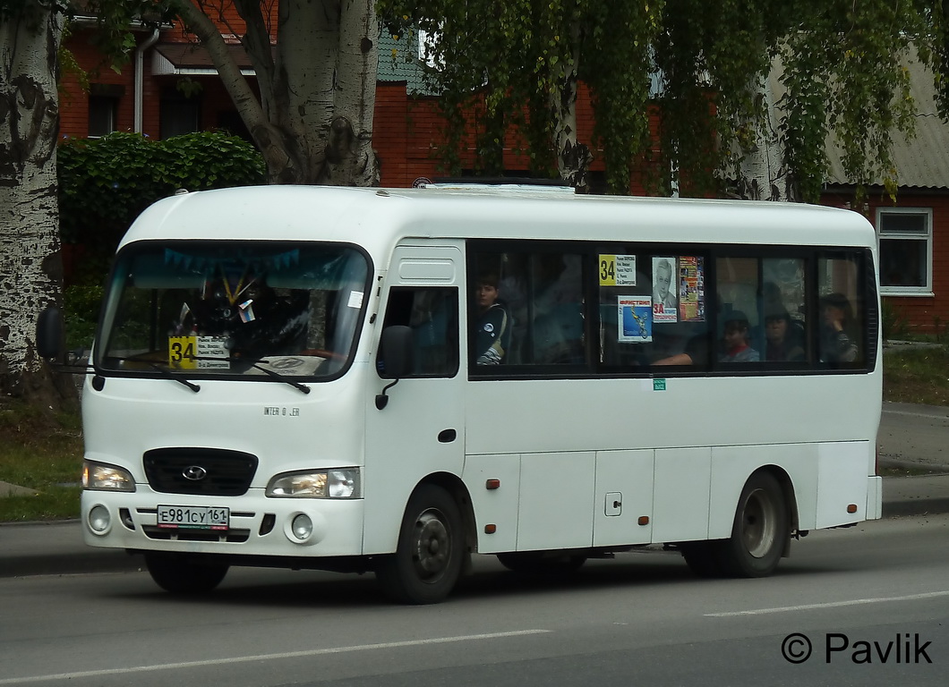 Ростовская область, Hyundai County LWB C09 (ТагАЗ) № КЕ 158 61