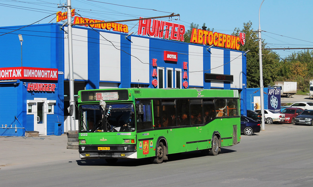 Новосибирская область, МАЗ-104.021 № 8136