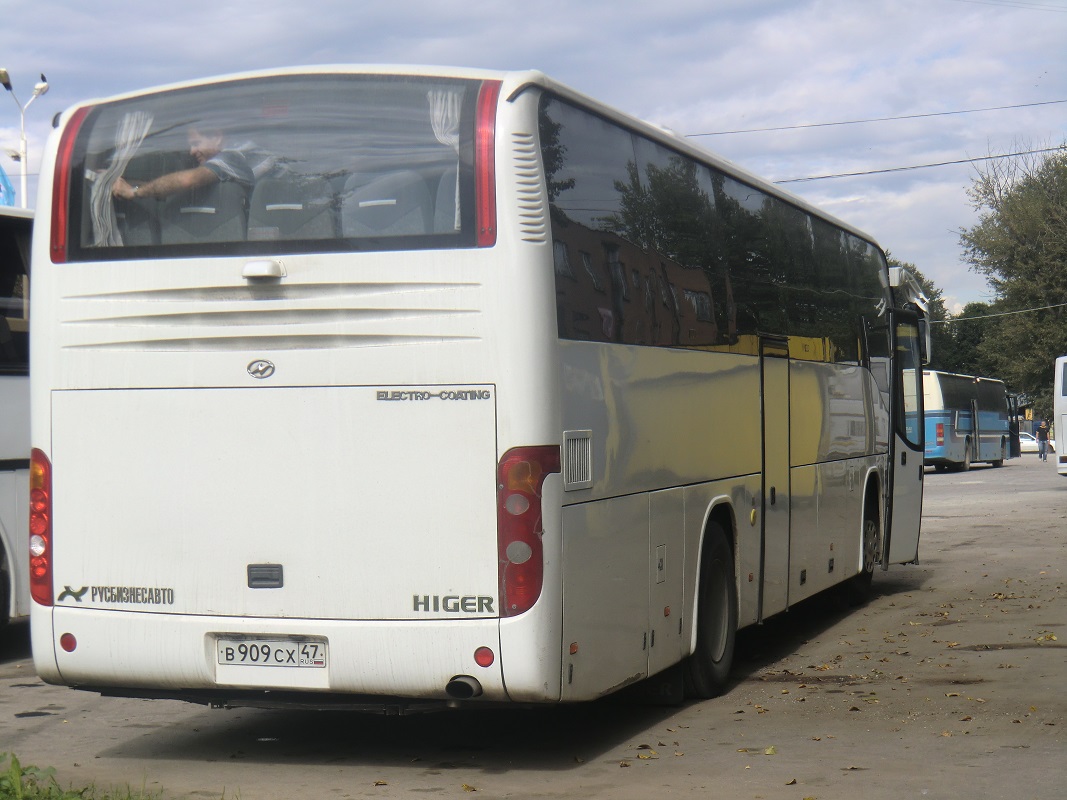 Ленинградская область, Higer KLQ6119TQ № В 909 СХ 47