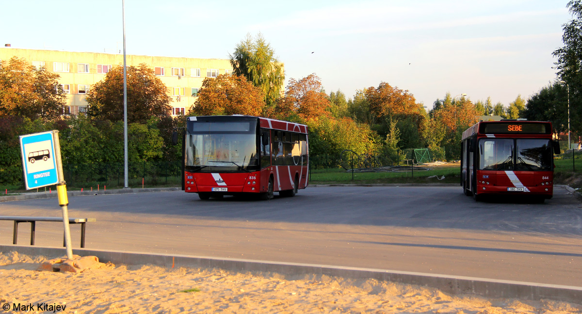 Észtország, MAZ-206.068 sz.: 836; Észtország — Tartumaa — Bus stations, last stops, sites, parks, various
