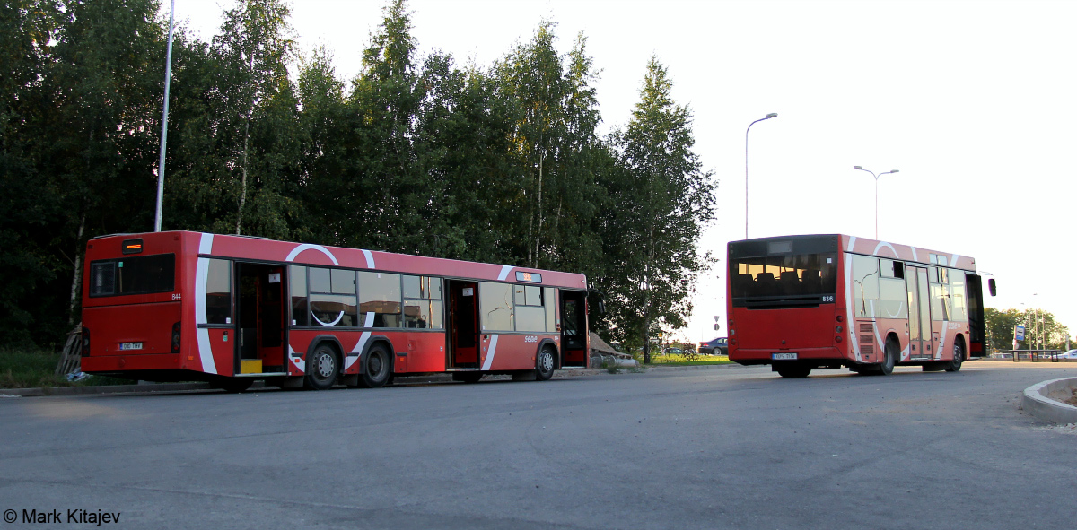 Estland, MAZ-206.068 Nr. 836; Estland — Tartumaa — Bus stations, last stops, sites, parks, various