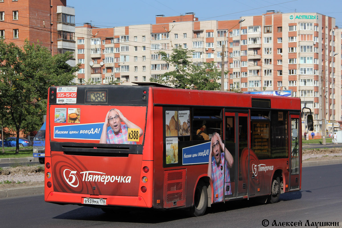 Санкт-Петербург, МАЗ-206.067 № 204