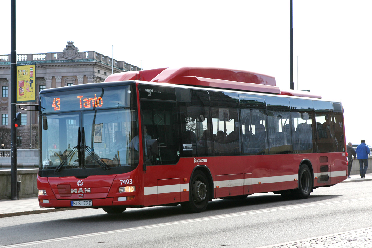 Швеция, MAN A21 Lion's City NL313 CNG № 7493