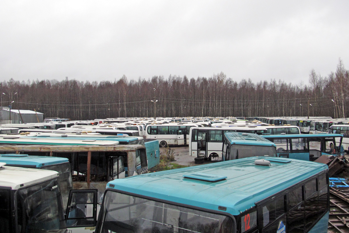 Sankt Petersburg — Bus parks