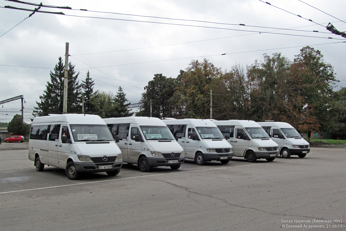 Kyjevská oblast, Mercedes-Benz Sprinter W903 313CDI č. AI 3673 BX; Kyjevská oblast — Miscellaneous photos