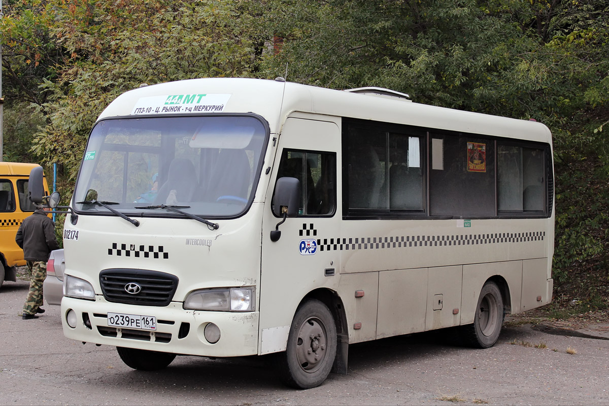 Ростовская область, Hyundai County SWB C08 (РЗГА) № 012174