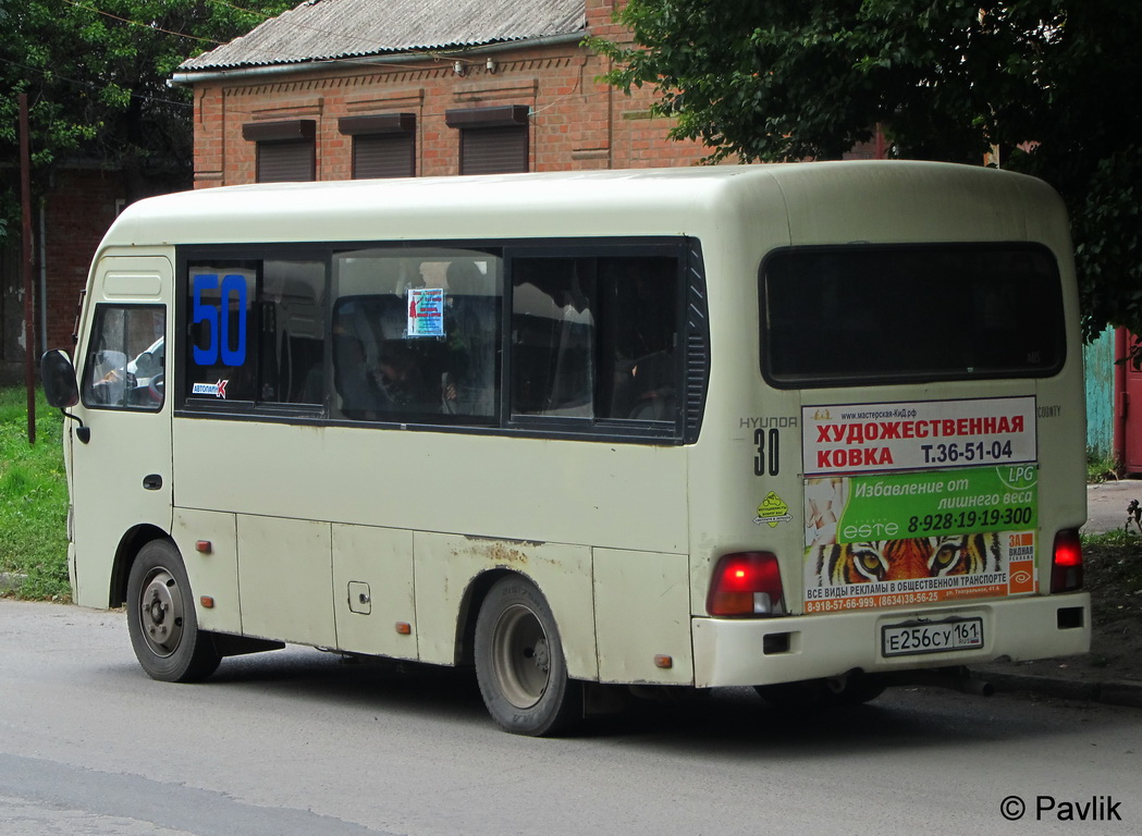Ростовская область, Hyundai County SWB C06 (РЗГА) № 30
