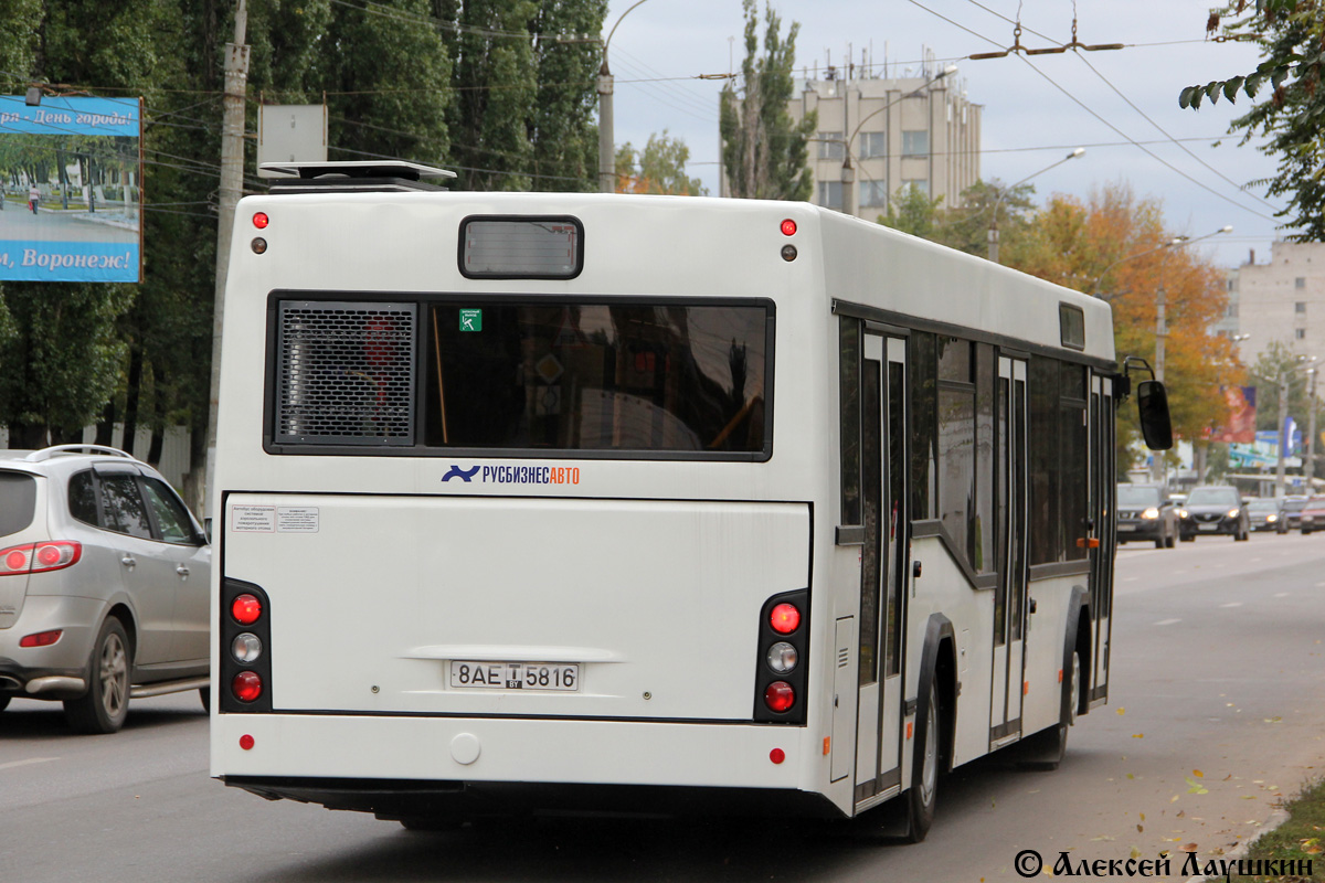 Воронежская область, МАЗ-103.469 № 8АЕ Т 5816