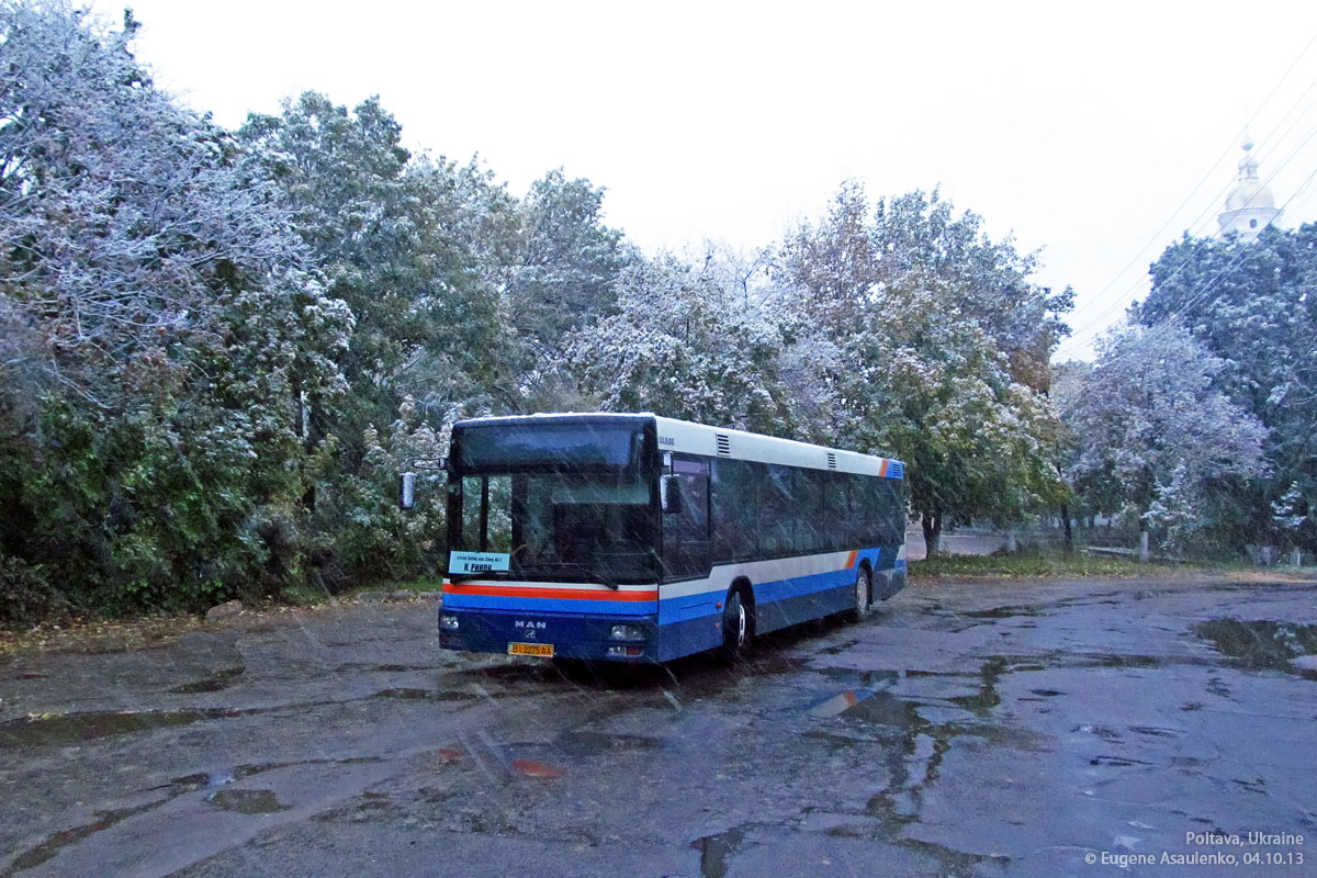 Poltava region, MAN A21 NL263 Nr. BI 2275 AA