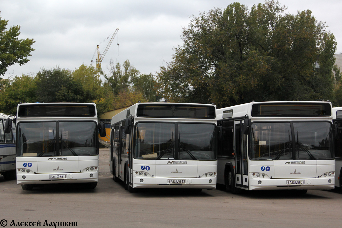 Voronezh region, MAZ-103.469 Nr. 8АЕ Т 5816; Voronezh region, MAZ-103.469 Nr. 8АЕ Т 5813; Voronezh region, MAZ-103.469 Nr. 8АЕ Т 5804; Voronezh region — New buses