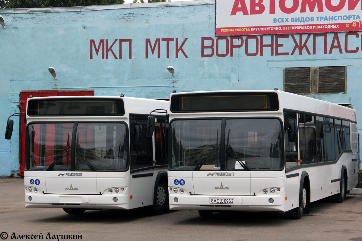 Воронежская область, МАЗ-103.469 № 8АЕ Т ХХХХ; Воронежская область, МАЗ-103.469 № 8АЕ Т 6963; Воронежская область — Новые автобусы