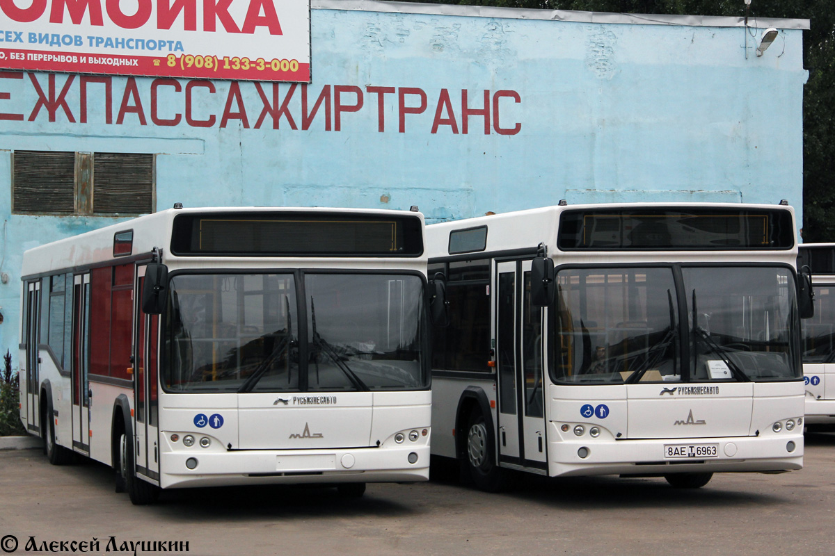 Воронежская область, МАЗ-103.469 № 8АЕ Т ХХХХ; Воронежская область, МАЗ-103.469 № 8АЕ Т 6963; Воронежская область — Новые автобусы