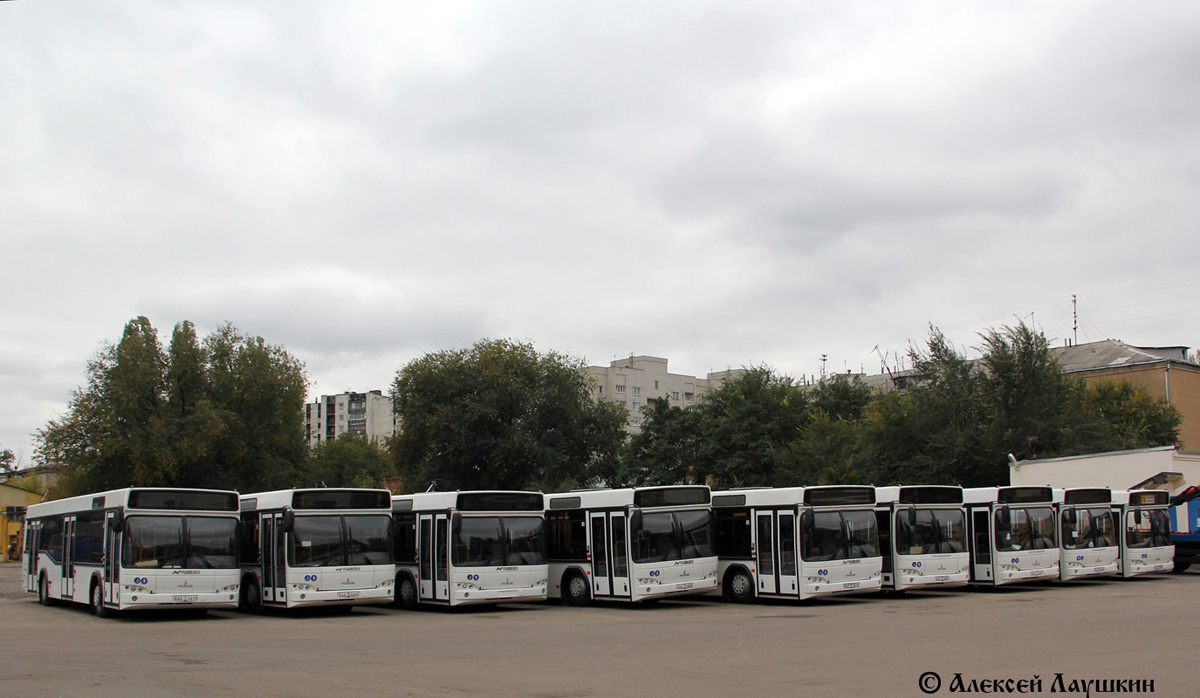 Воронежская область — Новые автобусы