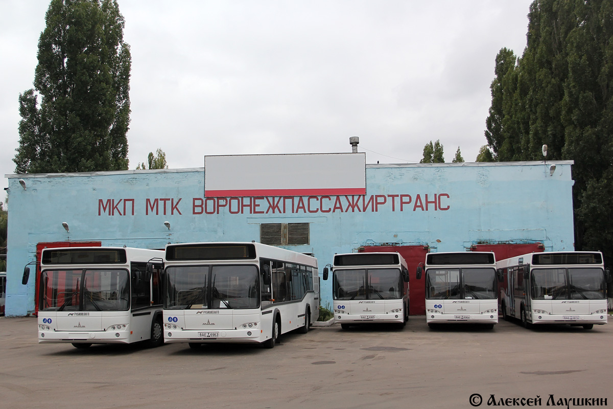 Воронежская область — Новые автобусы