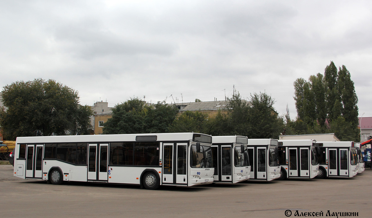 Воронежская область — Новые автобусы