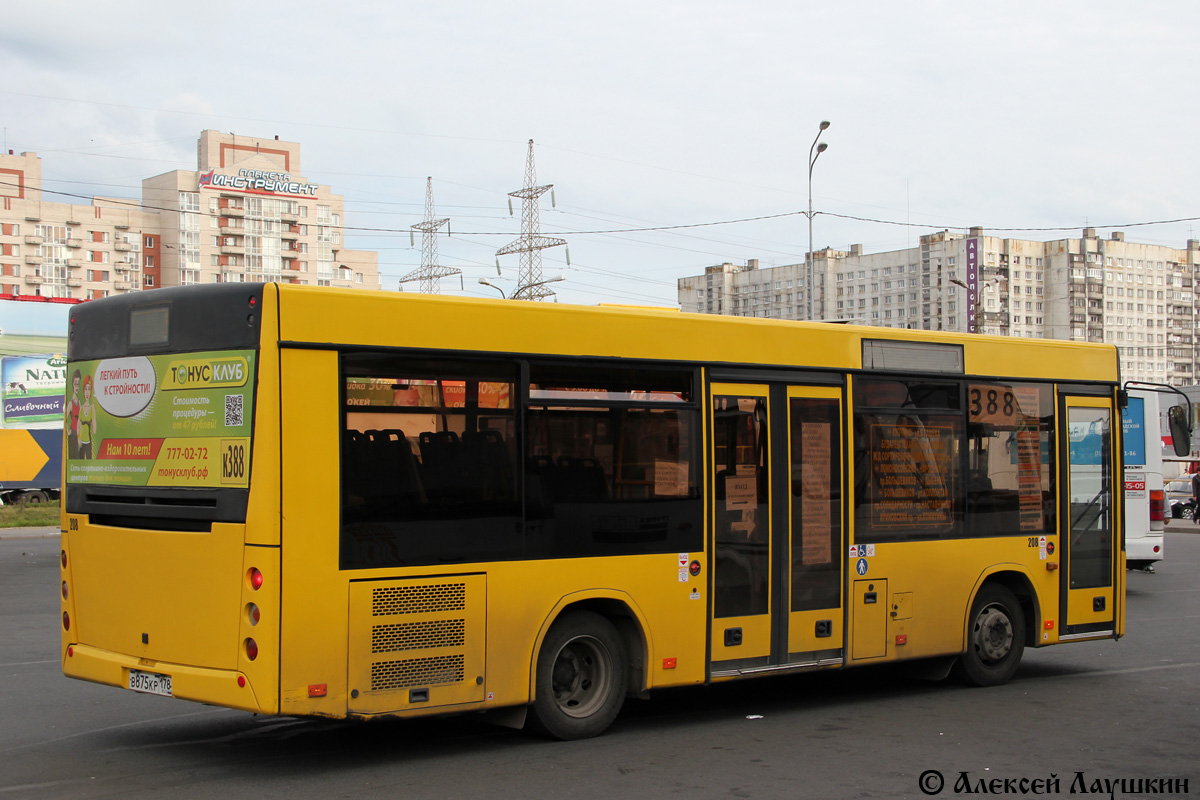 Санкт-Петербург, МАЗ-206.067 № 208