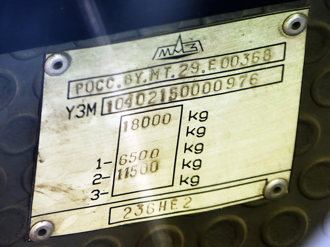 Новосибирская область, МАЗ-104.021 № 8557