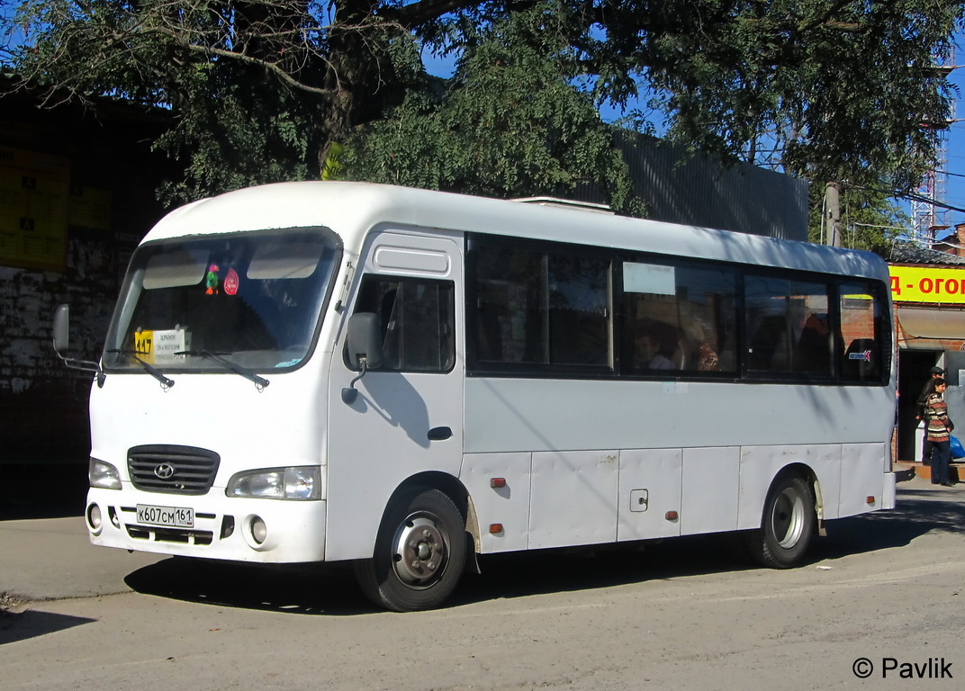 Ростовская область, Hyundai County LWB C10 (ТагАЗ) № 47