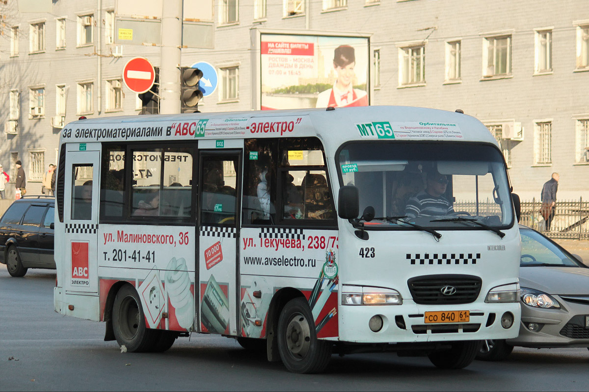 Ростовская область, Hyundai County SWB C08 (РЗГА) № 423