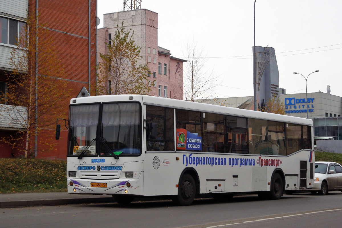 Kemerovo region - Kuzbass, NefAZ-5299-10-15 Nr. 51