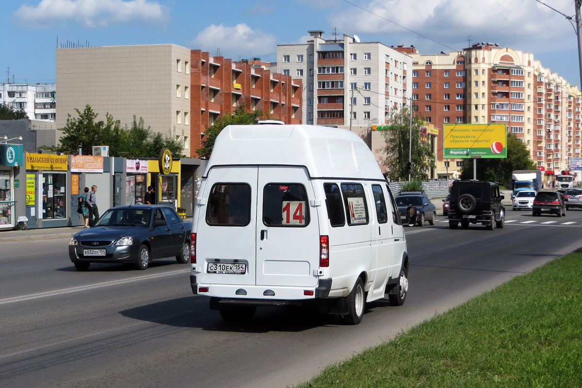 Новосибирская область, Луидор-225000 (ГАЗ-322133) № С 310 ЕК 154