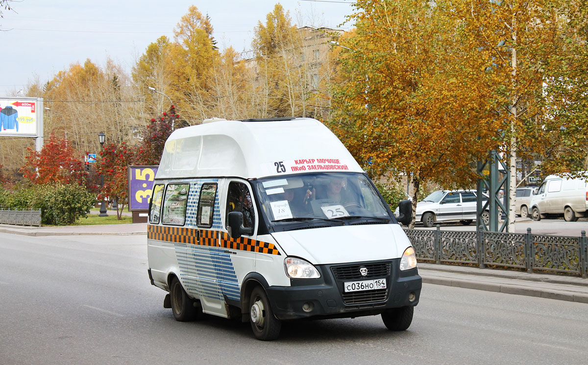 Новосибирская область, Луидор-225000 (ГАЗ-322133) № С 036 НО 154