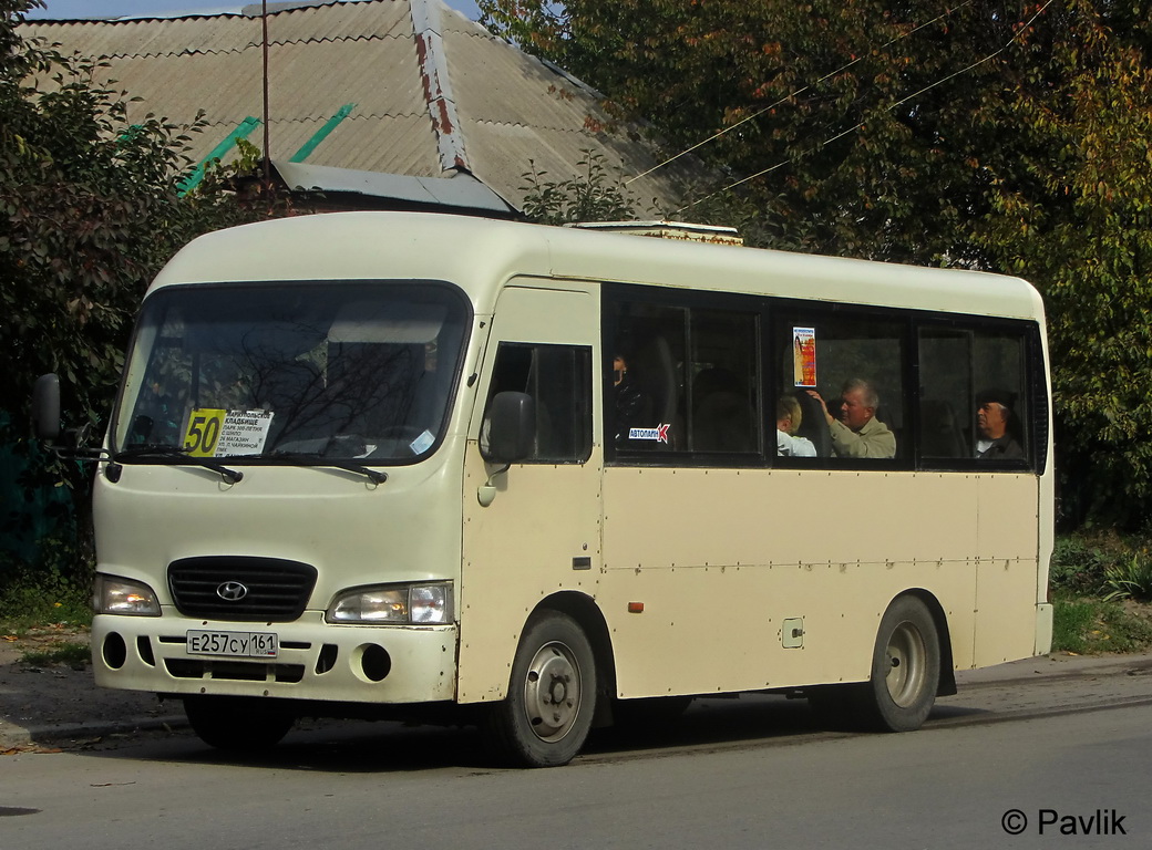 Ростовская область, Hyundai County SWB C08 (РЗГА) № 38