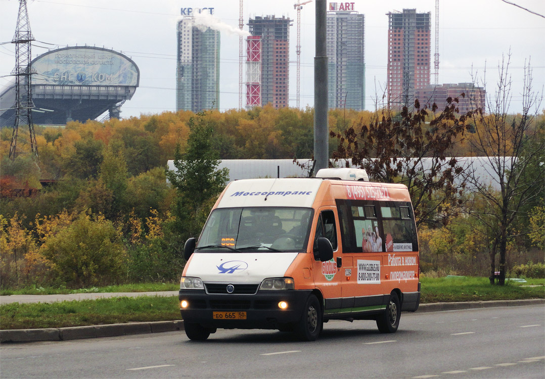 Москва, FIAT Ducato 244 CSMMC-RLL, -RTL № 12394